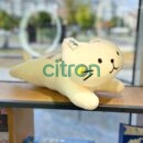 50cm/ Игруш.мягкая-подушка "Котик лежит" 50см, 3в.