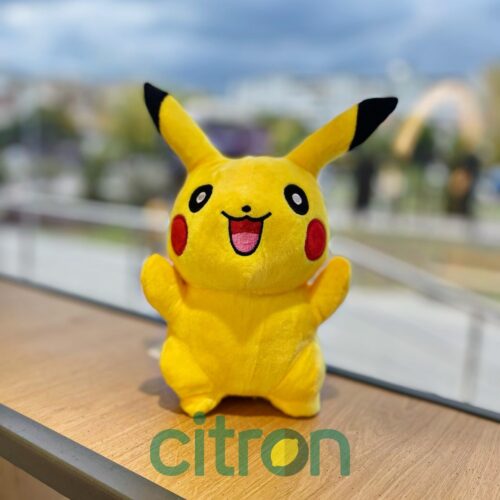 25cm/ Soft toy Pikachu (mix)