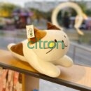 50cm/ Игруш.мягкая-подушка "Котик лежит" 50см, 3в.
