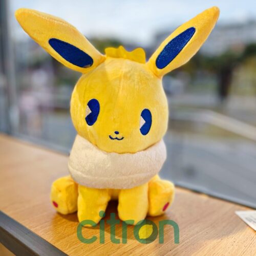 25cm/ Игрушка мягкая Pokemon (микс)