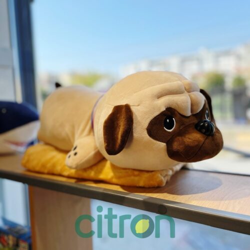 60cm/ Игрушка плед-подушка ''Мопс''