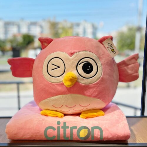 30cm/ Игрушка плед-подушка ''Сова''  3в1