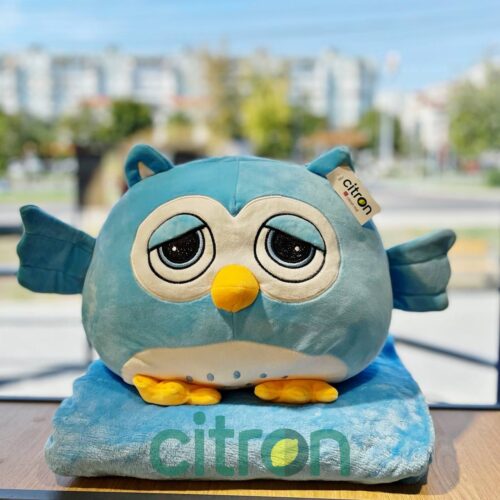 30cm/ Игрушка плед-подушка ''Сова''  3в1