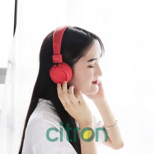 W25 Promise wireless headphones, (Black, Gray)