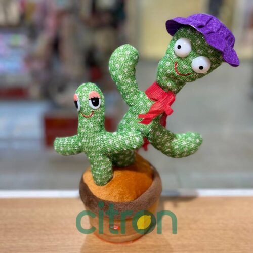Toy Repeating - Cactus (mix)