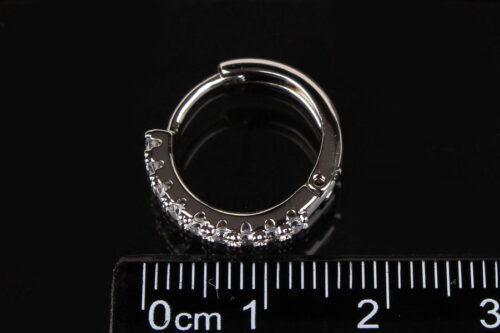 Серьги (55102)